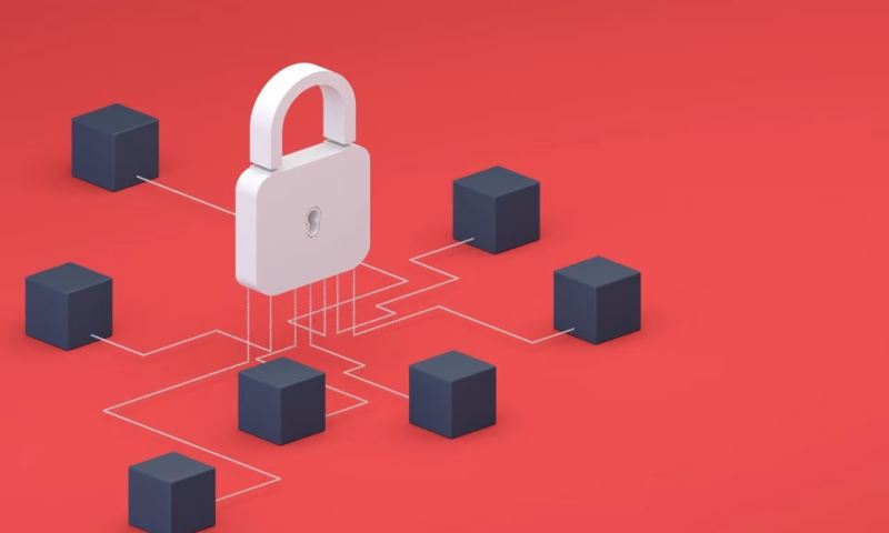 软件开发公司